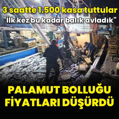 1 kiloluk palamut 40 liraya düştü