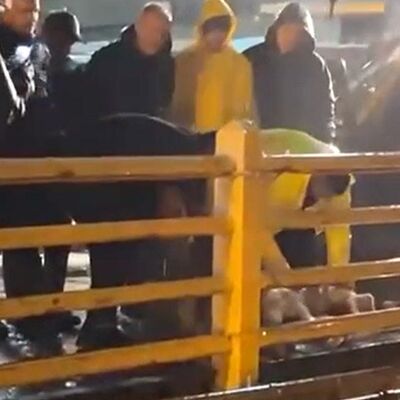 Yağmurun durması için kurban kestiler