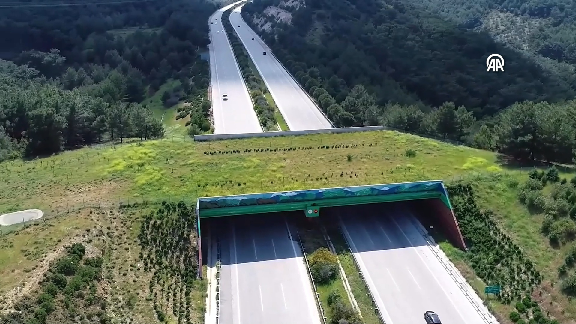 Ekolojik köprü sayısı 21'e ulaştı