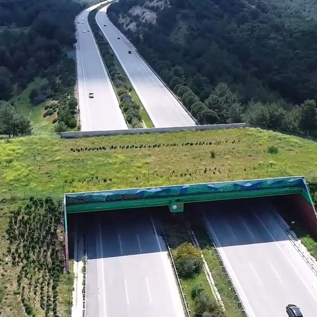 Ekolojik köprü sayısı 21'e ulaştı