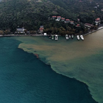 Kıyılar kahverengiye döndü