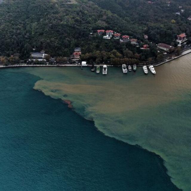 Kıyılar kahverengiye döndü