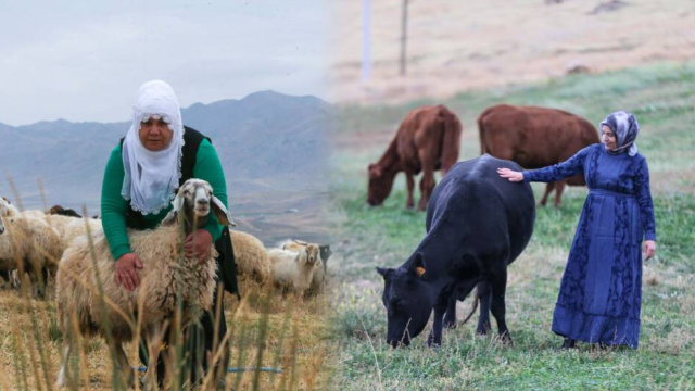 Devlet desteğiyle başladılar, iki katına çıkardılar