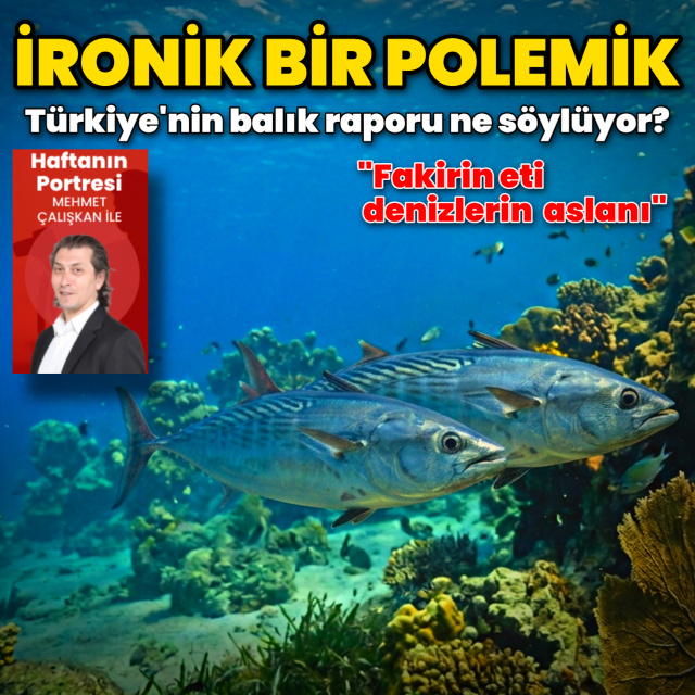 İronik bir polemik