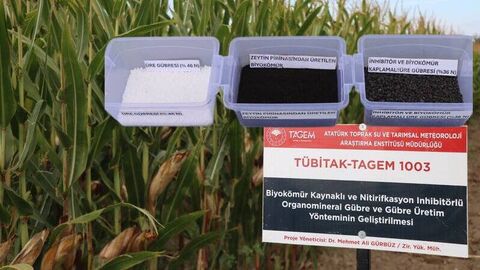 Kimyasal gübreye taze nesil alternatif: Zeytin atığı