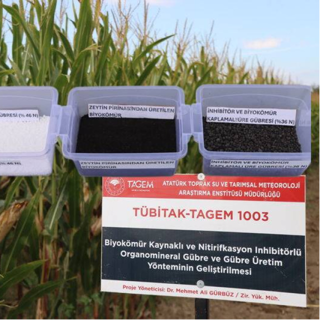 Kimyasal gübreye yeni nesil alternatif: Zeytin atığı