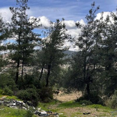 Danıştay’dan Akbelen kararı