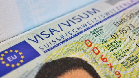 Vize şirketlerine 'bot' operasyonu: Bilinenler ve sonraki adımlar