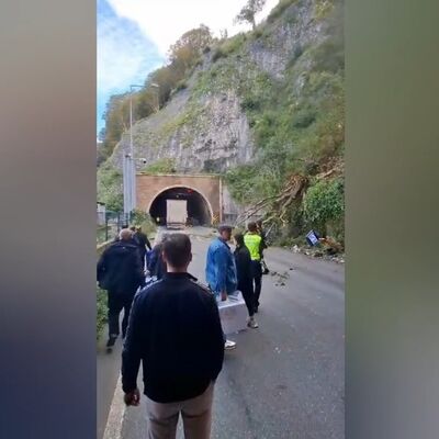 Ağaçlar araçların üzerine devrildi