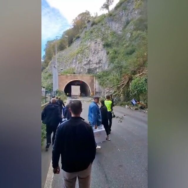 Ağaçlar araçların üzerine devrildi