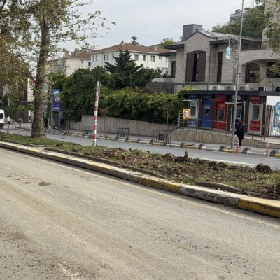 Eyüpsultan'da "ağaçlar kesildi" iddiasına tepki