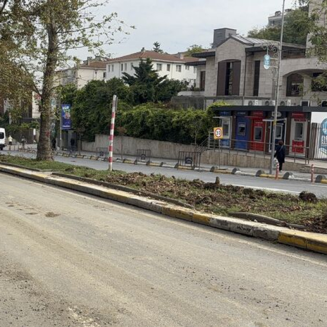 Eyüpsultan'da "ağaçlar kesildi" iddiasına tepki