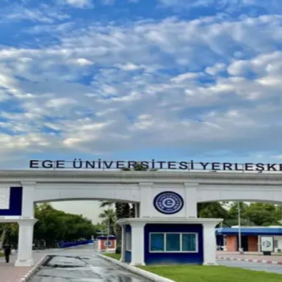 'Kediler zehirlendi' iddiasına yanıt