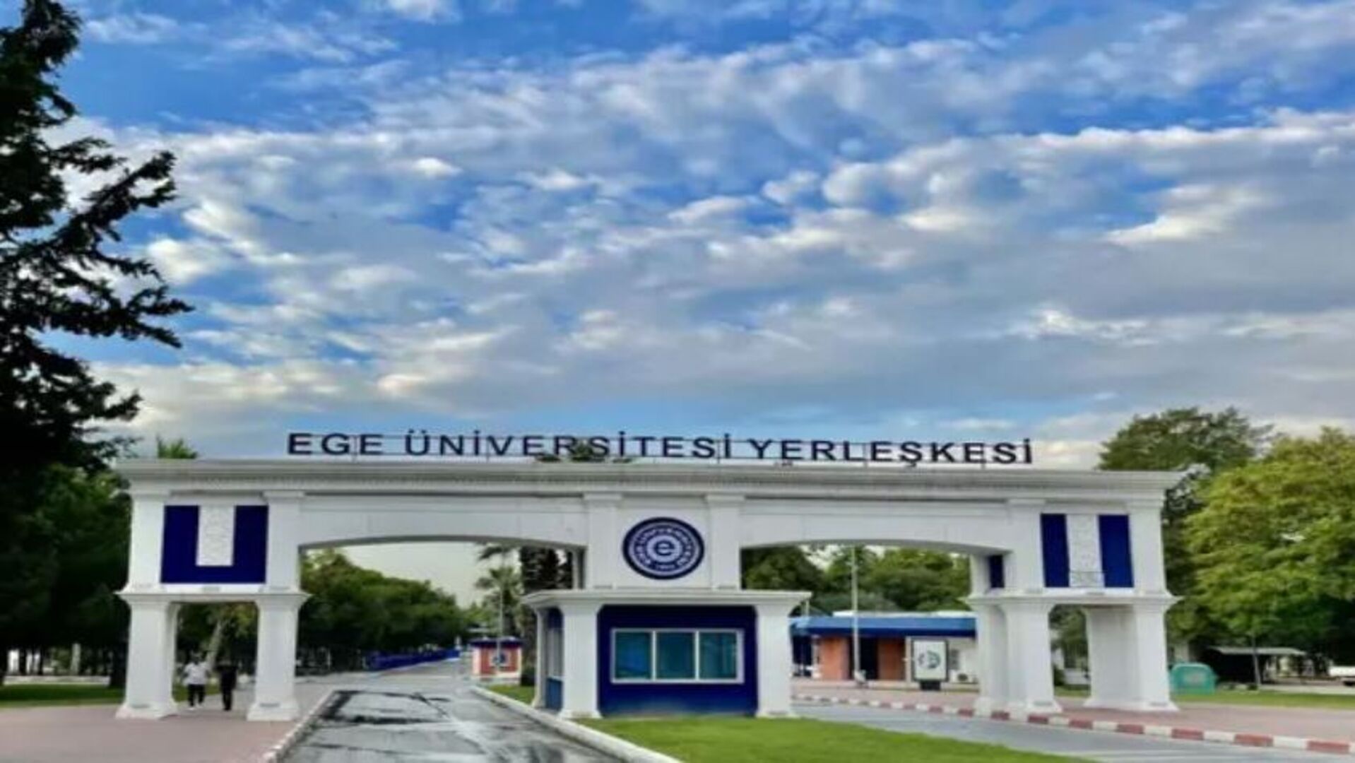 'Kediler zehirlendi' iddiasına yanıt