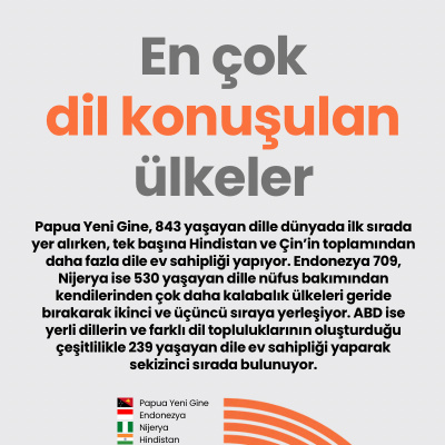En çok dil konuşulan ülkeler