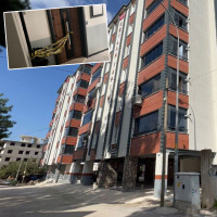 'Cicim ayı' katliamı! 20 günlük eşine acımadı