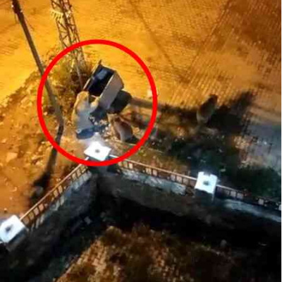 Aç ayılar oynadı, işte o anlar