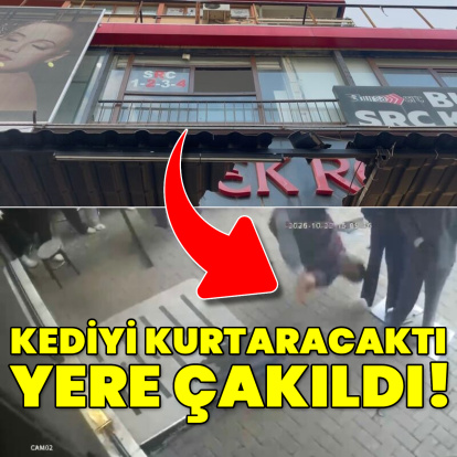 Kediyi kurtaracaktı! Hayatını kaybetti