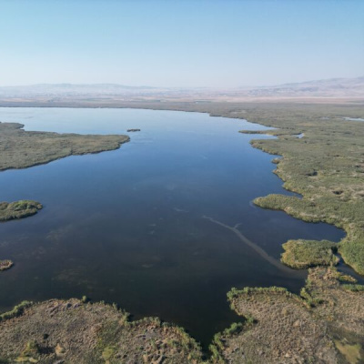 Eber Gölü ve Sarıcaova'da yaban hayatı izleniyor