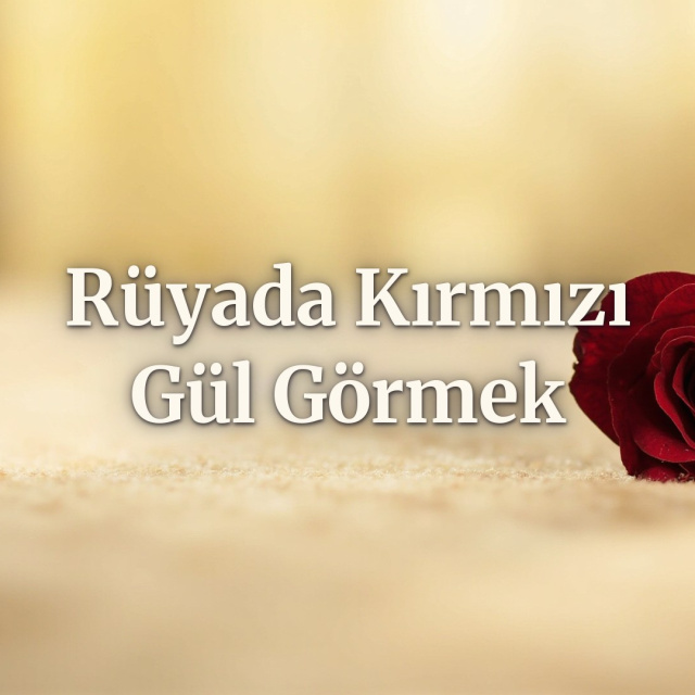 Rüyada kırmızı gül görmek ne anlama gelir?