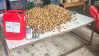SON DAKİKA HABERİ! Akılalmaz olay! Lavabo açıcıyla incirleri beyazlatmışlar | Son dakika haberleri