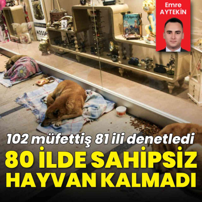 80 ilde sokakta sahipsiz hayvan kalmadı