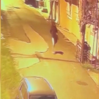 Korkunç saldırı! Haraç çetesi yanlışlıkla kuryeyi vurdu!