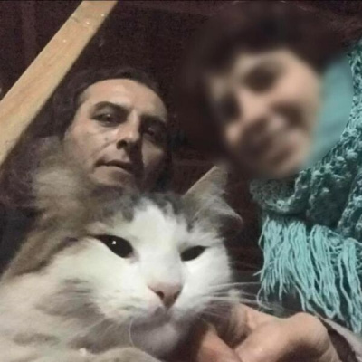 Kedileri balkonda kaldı, acı gerçek çıktı