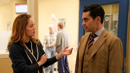 Aptal Dedektif Beynim