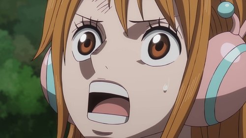 Kayıp Tarih - İlk Korsan Joyboy