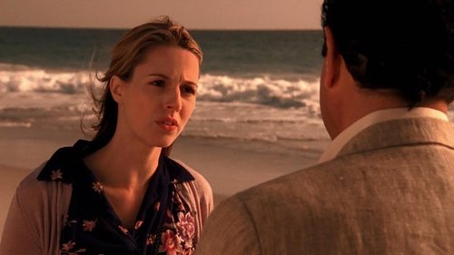 Bay Monk ve Son (İkinci Bölüm)