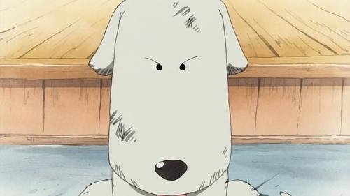 Umutsuz Durum! Hayvan Terbiyecisi Mohji, Luffy'ye Karşı!