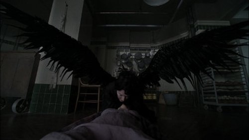 Tımarhane: Ürkünç Kuzen