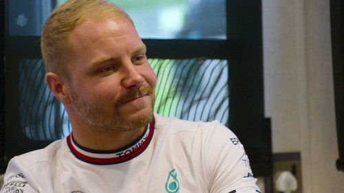 Wolff'un Büyük Kararı