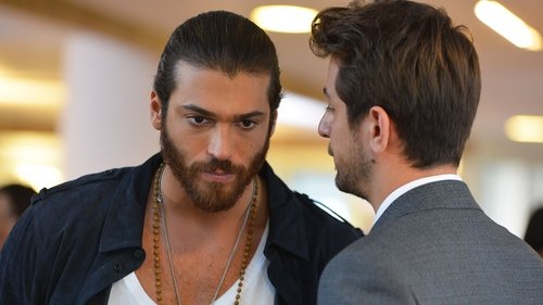 Her Şey Bitti