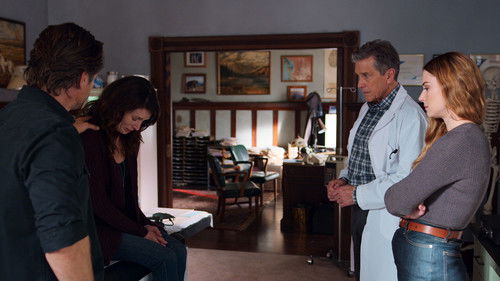 Yeni Başlangıçlar