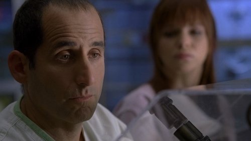 Başımıza Gelen Bela