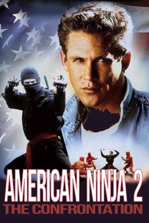 Amerikan Ninja 2