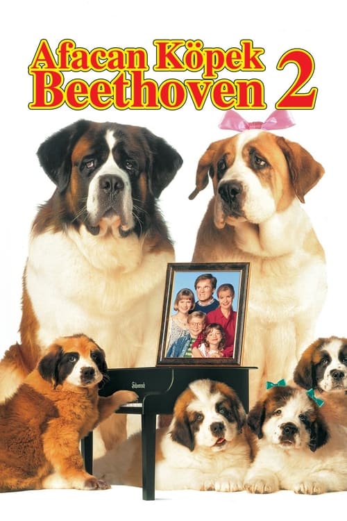 Afacan Köpek Beethoven