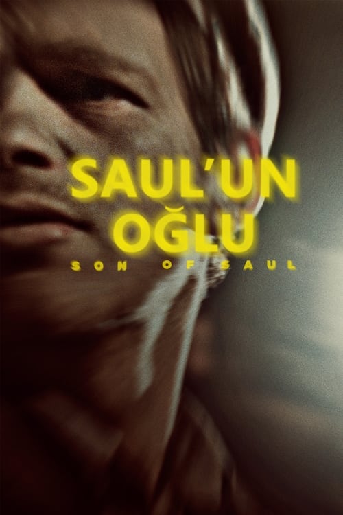 Saul'un Oğlu