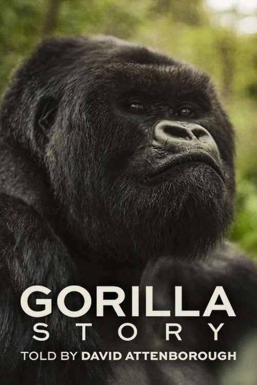 David Attenborough: Bir Goril Hikâyesi