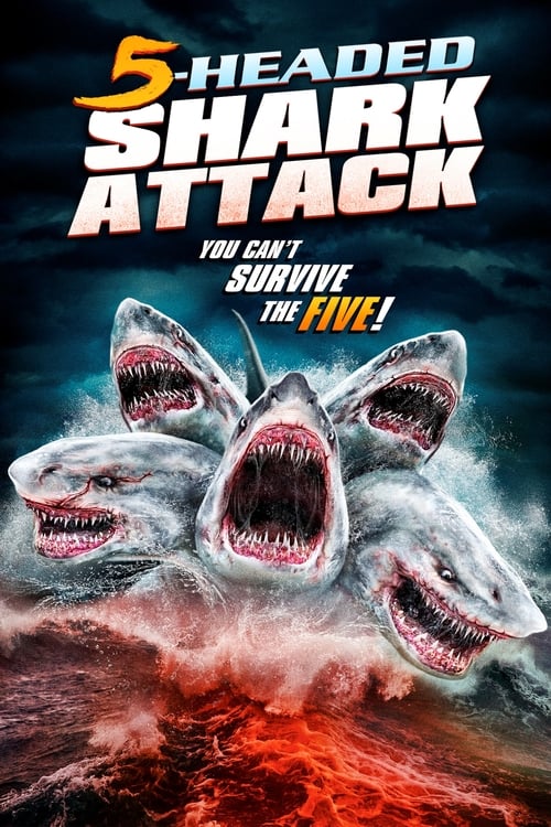 5 Başlı Köpekbalığı Saldırısı