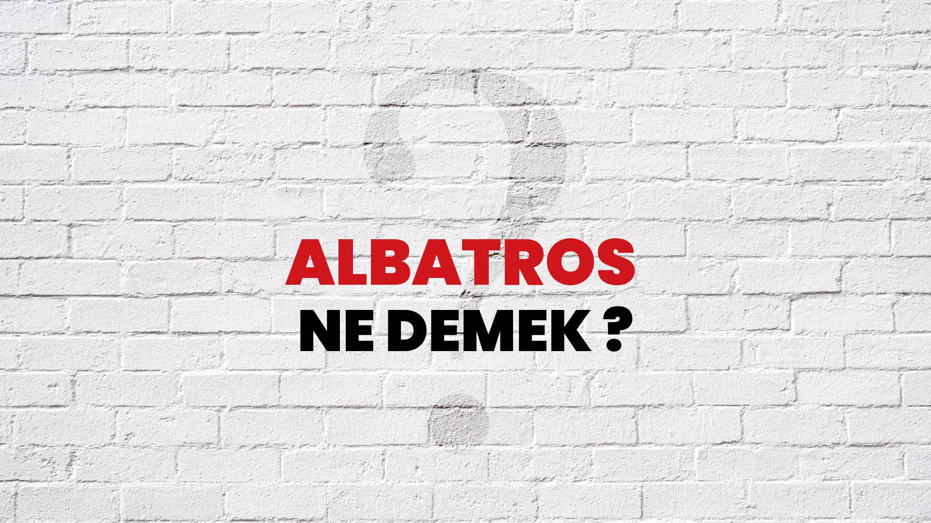 Albatros Ne Demek, Ne Anlama Gelir? Albatros Kelimesi TDK Sözlük Anlamı Nedir?