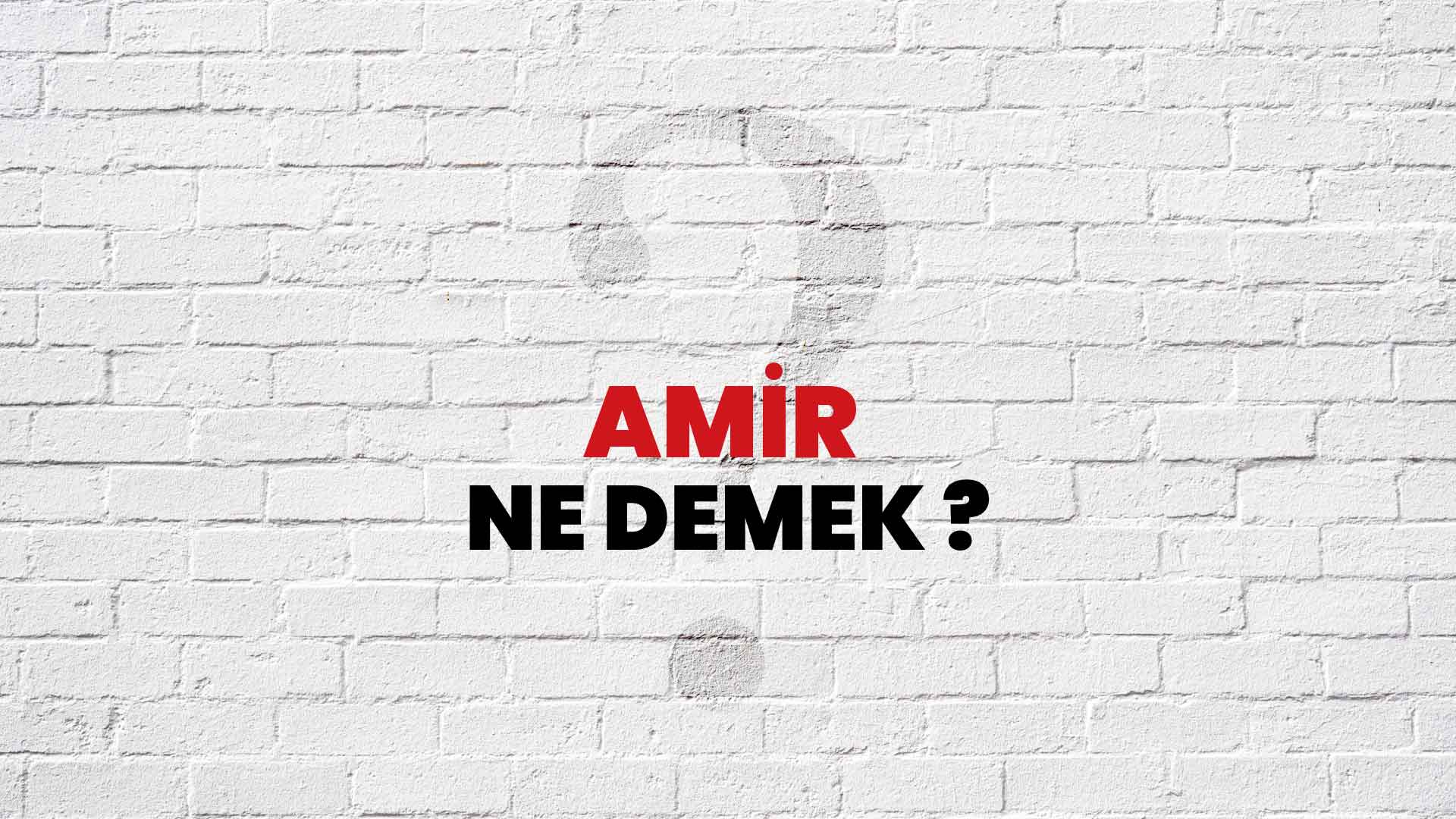 Amir Ne Demek, Ne Anlama Gelir? Amir Kelimesi TDK Sözlük Anlamı Nedir?