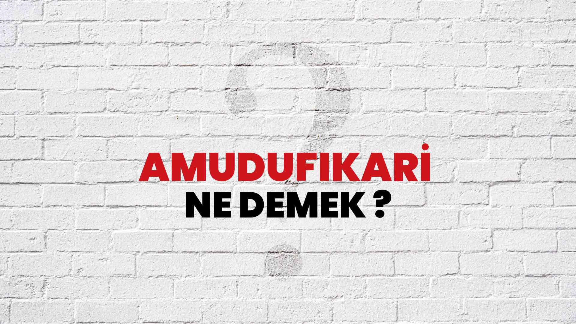 Amudufıkari Ne Demek, Ne Anlama Gelir? Amudufıkari Kelimesi TDK Sözlük Anlamı Nedir?