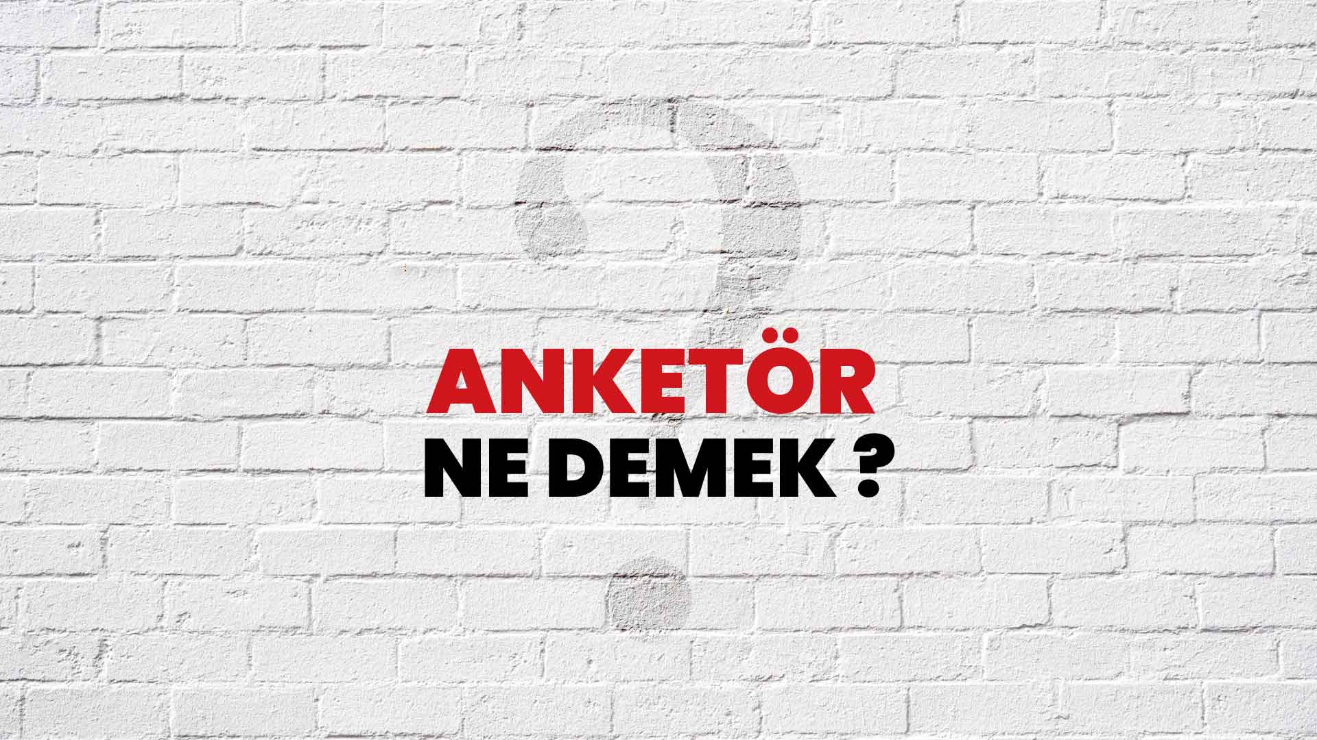 Anketör Ne Demek, Ne Anlama Gelir? Anketör Kelimesi TDK Sözlük Anlamı Nedir?