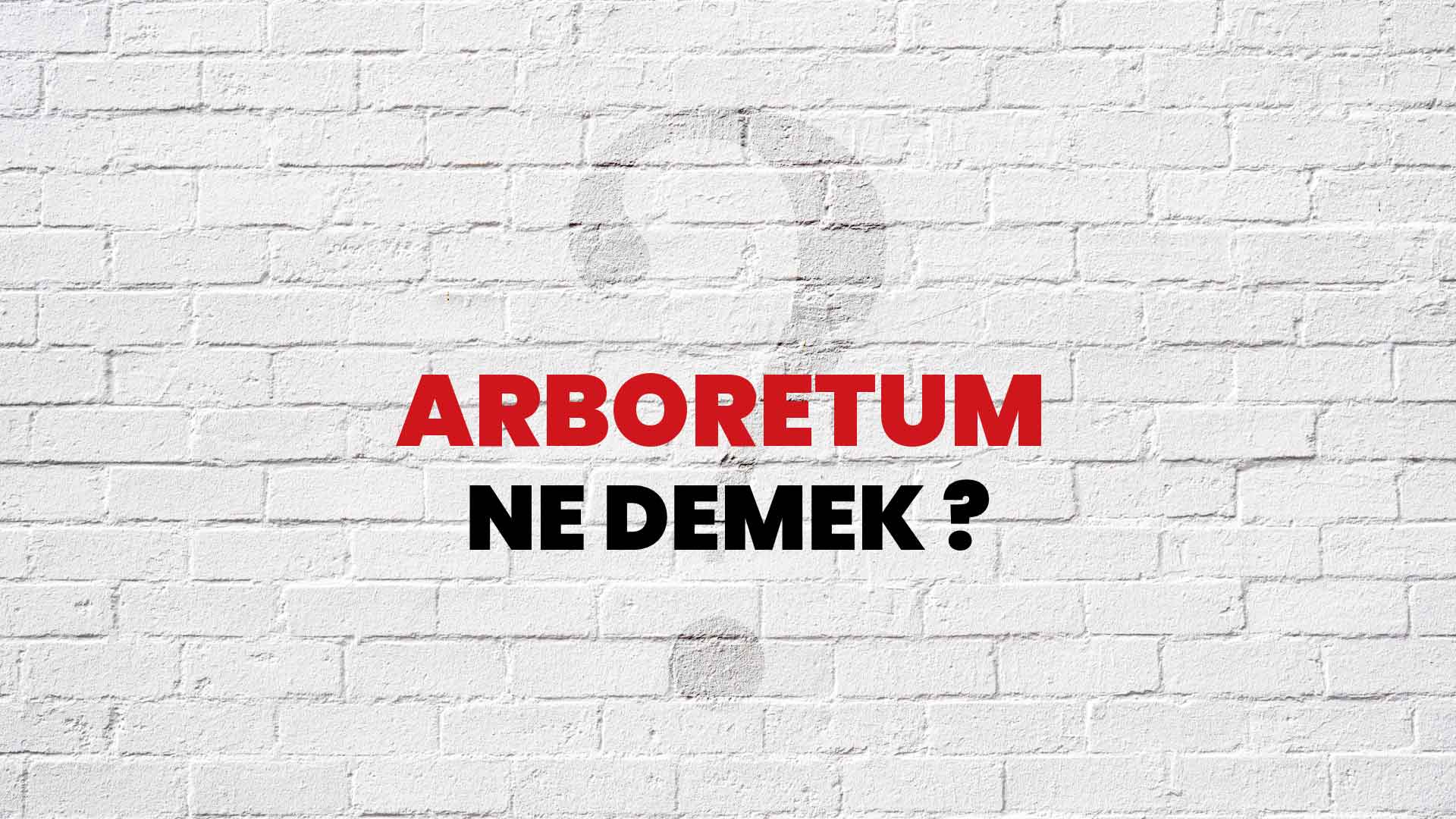 Arboretum Ne Demek, Ne Anlama Gelir? Arboretum Kelimesi TDK Sözlük Anlamı Nedir?