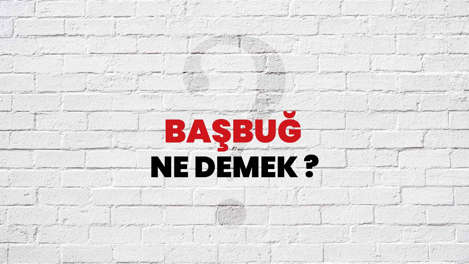 Başbuğ Ne Demek, Ne Anlama Gelir? Başbuğ Kelimesi TDK Sözlük Anlamı Nedir?