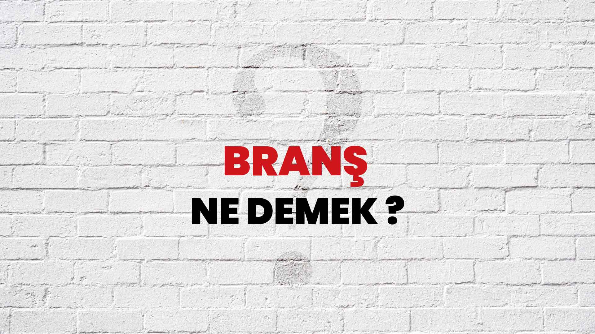 Branş Ne Demek, Ne Anlama Gelir? Branş Kelimesi TDK Sözlük Anlamı Nedir?