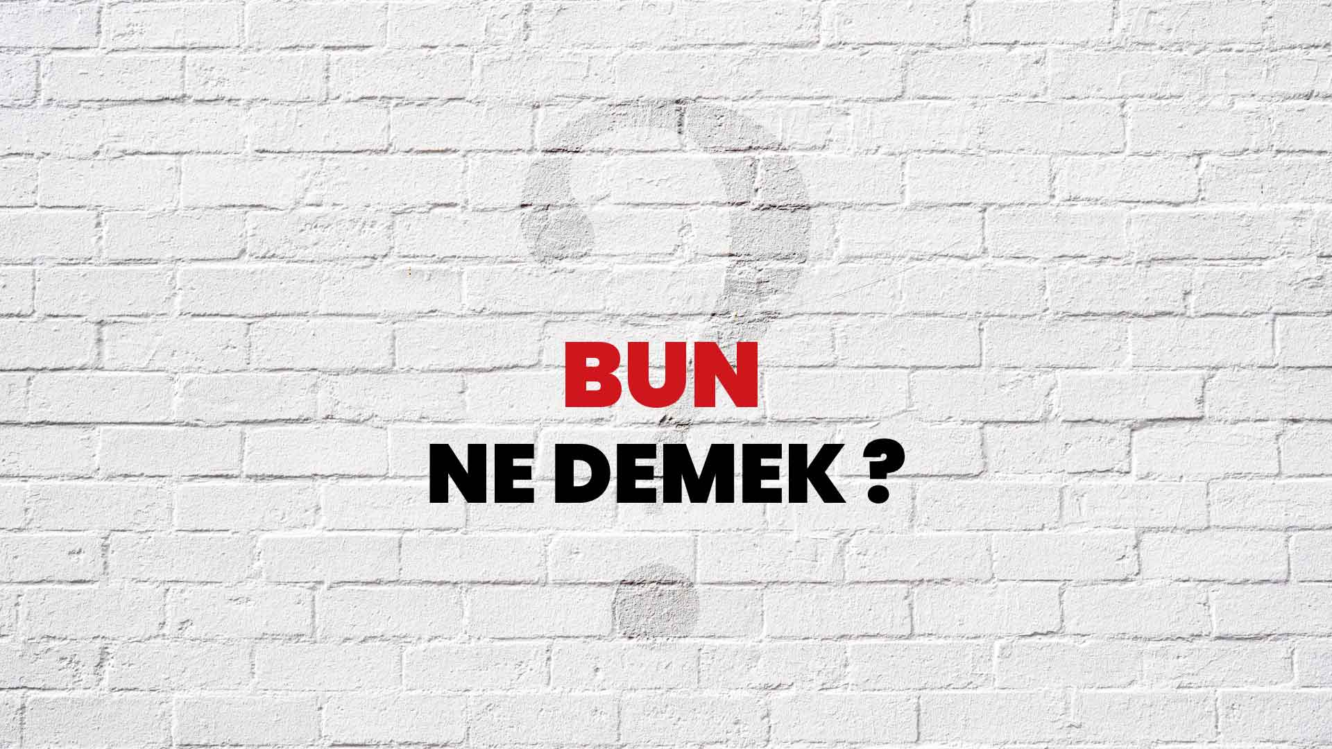 Bun Ne Demek, Ne Anlama Gelir? Bun Kelimesi TDK Sözlük Anlamı Nedir?